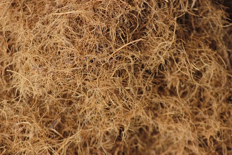 COCO COIR FIBRES